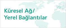 Global Ağ / Yerel Bağlantılar