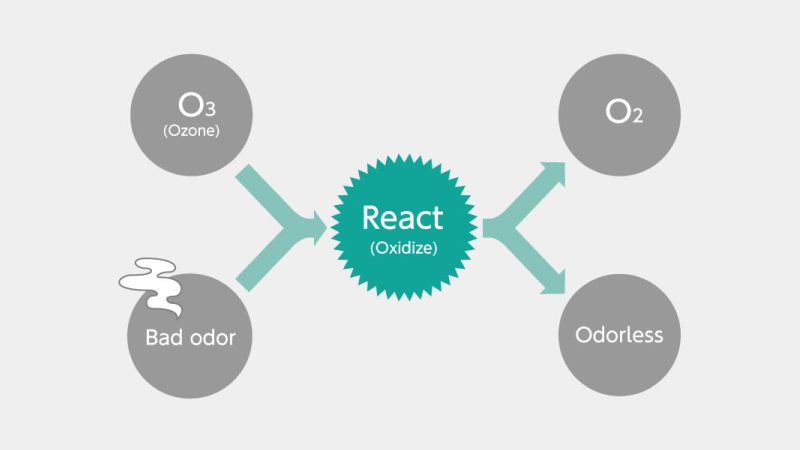 OZONE Teraoka OZONE TERAOKA-WP04-2