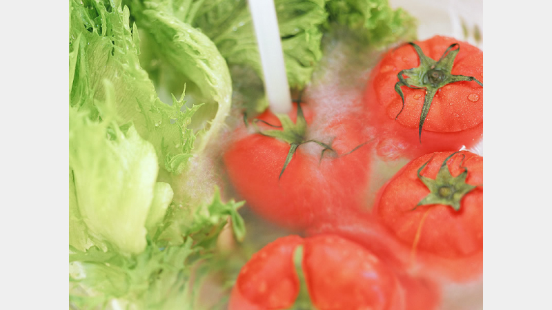 OZONE Teraoka OZONE TERAOKA-WP04-6