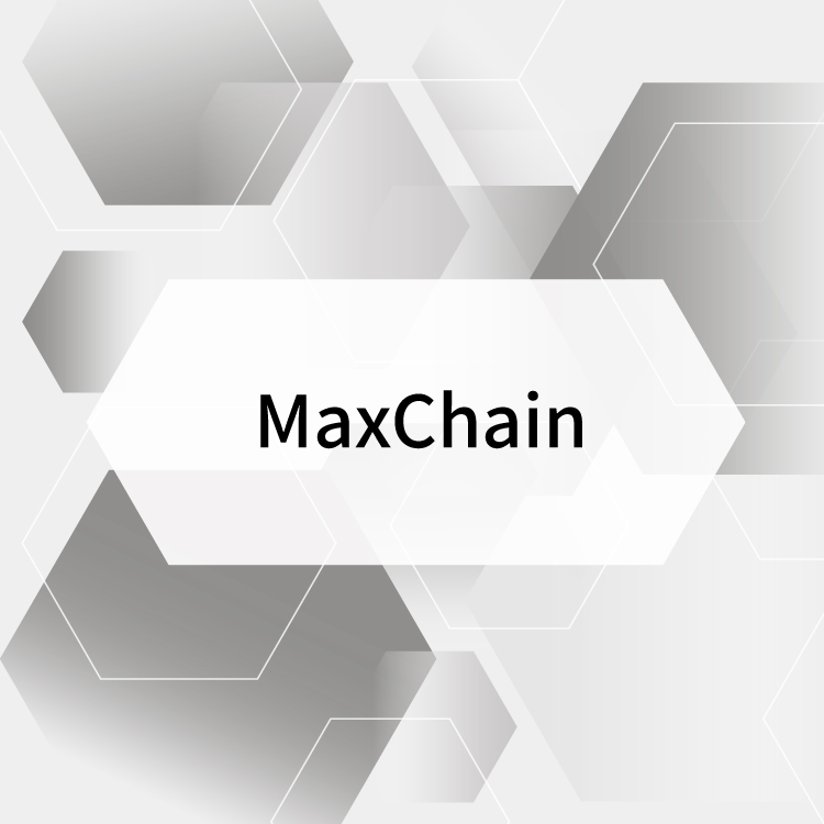 MaxChain-WP01