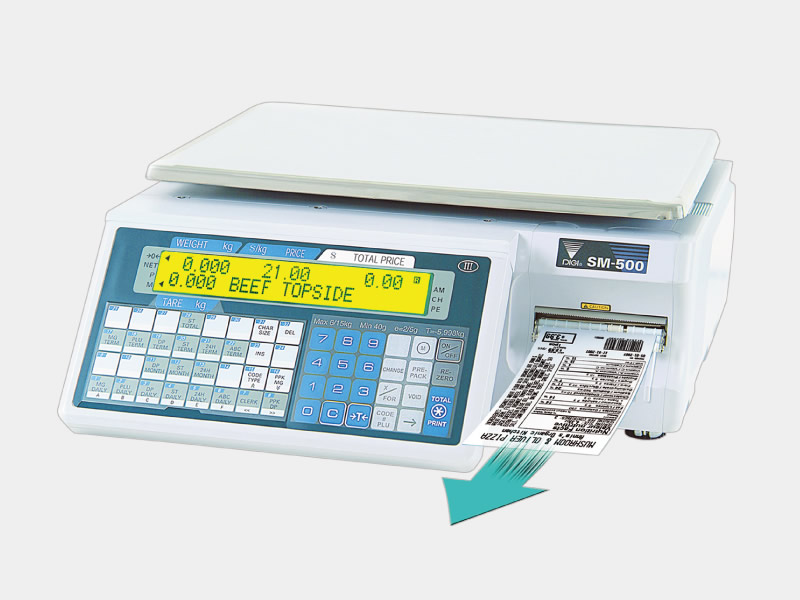 Digi sm 100 схема