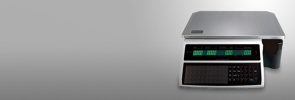 Digi sm 100 схема